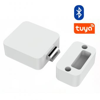 Tuya Smart Lock